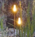 Pro Line Plug & Play Atmospheric Lights